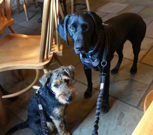 Ruby & Ellie, a lovely looking duo in  the bar.